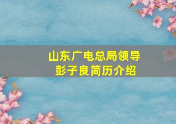 山东广电总局领导 彭子良简历介绍